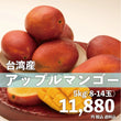 台湾産アップルマンゴー５kg